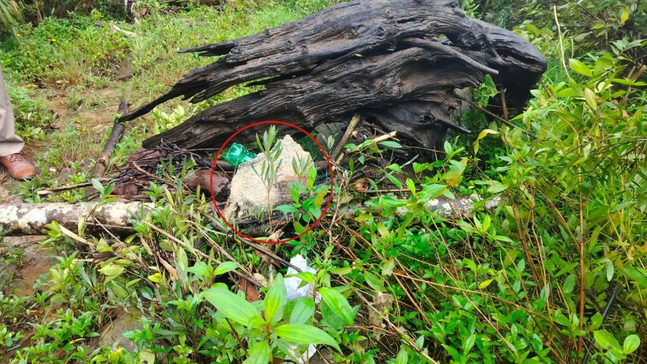 ಕಾರ್ಕಳ: ದುರ್ಗ ಮಲೆಬೆಟ್ಟು ಸ್ವರ್ಣ ನದಿ ತೀರದಲ್ಲಿ ಗೋವಿನ ರುಂಡ ಪತ್ತೆ