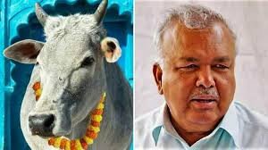 ರಾಜ್ಯದ ಎಲ್ಲಾ ಮುಜರಾಯಿ ದೇವಸ್ಥಾನಗಳಲ್ಲಿ ನಾಳೆ ಕಡ್ಡಾಯವಾಗಿ ಗೋಪೂಜೆ ಮಾಡುವಂತೆಸಚಿವ ರಾಮಲಿಂಗಾ ರೆಡ್ಡಿ ಸೂಚನೆ