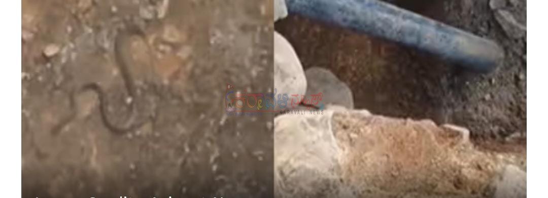 ಲಕ್ಕುಂಡಿಯಲ್ಲಿ ಉತ್ಖನನ ನಡೆಯುತ್ತಿರುವ ಸ್ಥಳದಲ್ಲೇ ಹಾವು ಪ್ರತ್ಯಕ್ಷ: ನಿಧಿ ಇರುವ ಸೂಚನೆ ಎಂದ ಗ್ರಾಮಸ್ಥರು!