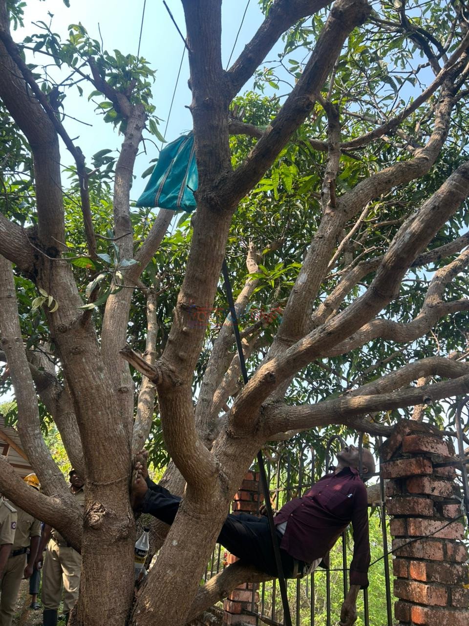 ಉಡುಪಿ ಜಿಲ್ಲಾಧಿಕಾರಿ ಕಚೇರಿ ಆವರಣದಲ್ಲಿ ನೌಕರ ವಿದ್ಯುತ್ ಶಾಕ್ ಗೆ ಬಲಿ: ಮಾವಿನ ಹಣ್ಣು ಕೊಯ್ಯುತ್ತಿದ್ದ ವೇಳೆ ದುರಂತ