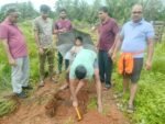 ರೋಟರಿ ಕ್ಲಬ್ ಕಾರ್ಕಳ ರಾಕ್ ಸಿಟಿ ಪ್ರಾಯೋಜಕತ್ವದಲ್ಲಿ ವೃಕ್ಷ ಸಂವರ್ಧನಾ ಕಾರ್ಯಕ್ರಮ